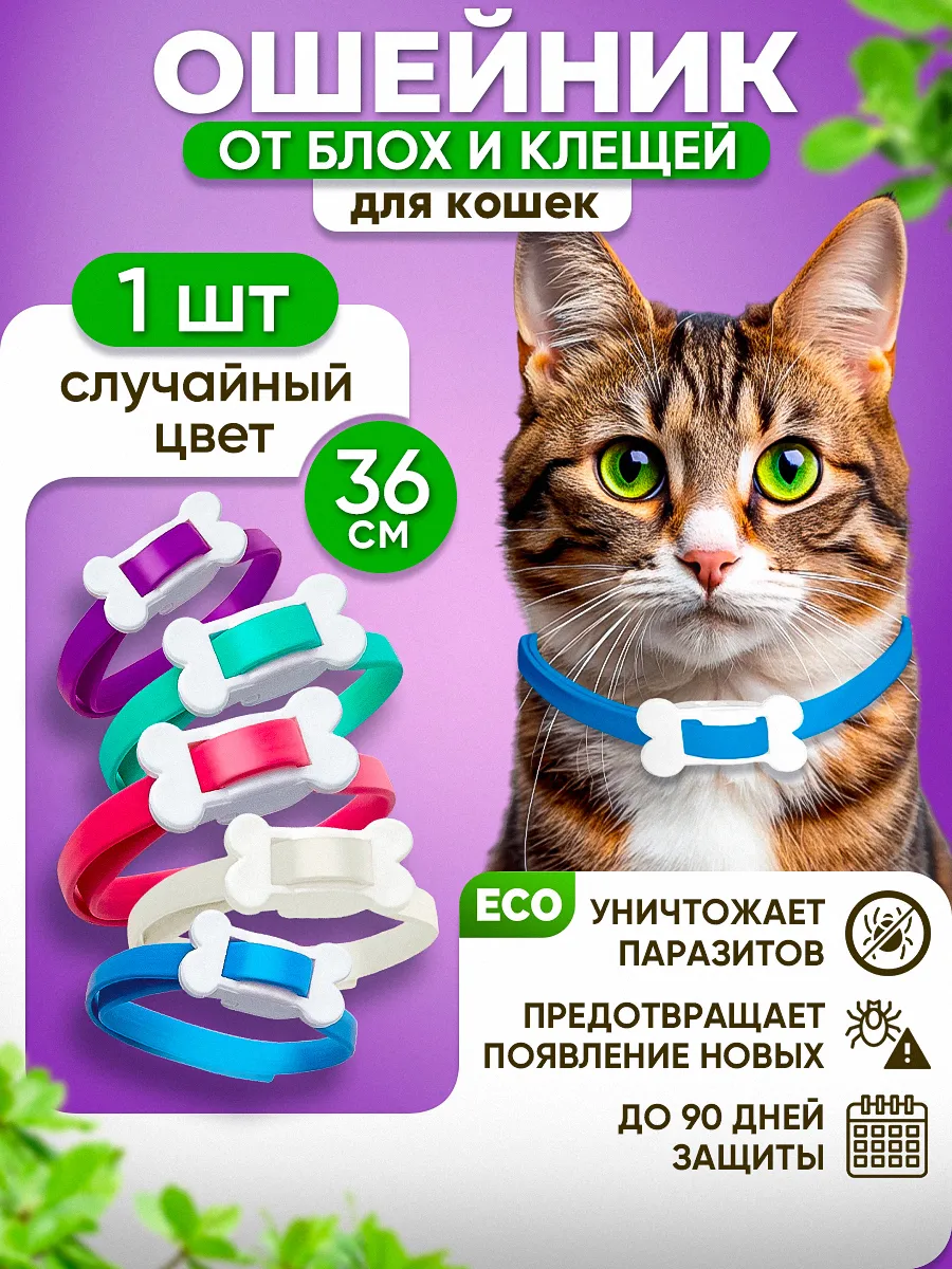 Spa ProBrush